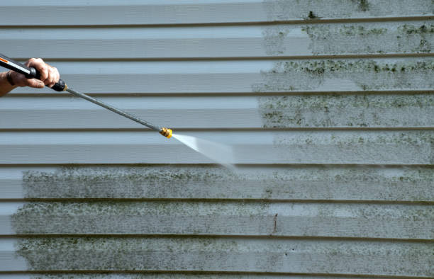 Best Black Mold Removal  in South Portland, ME